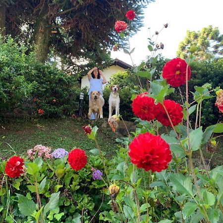 Casa Das Dalias Monte Verde  Zewnętrze zdjęcie