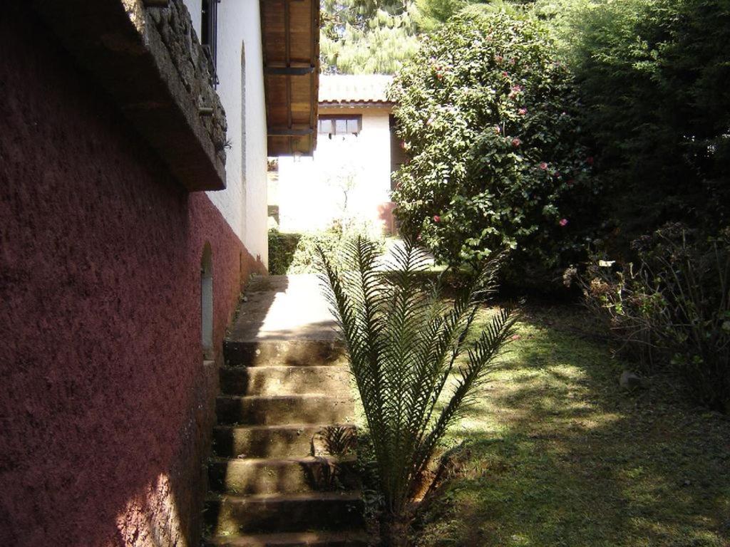 Casa Das Dalias Monte Verde  Zewnętrze zdjęcie